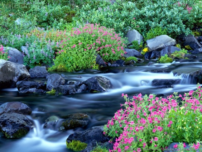 Download this River Xcitefun Most Beautiful Nature Wallpapers picture